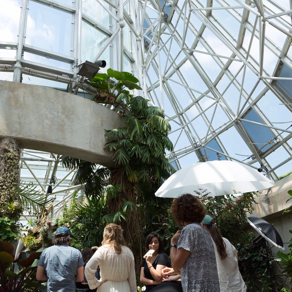 Creative production in a glass conservatory